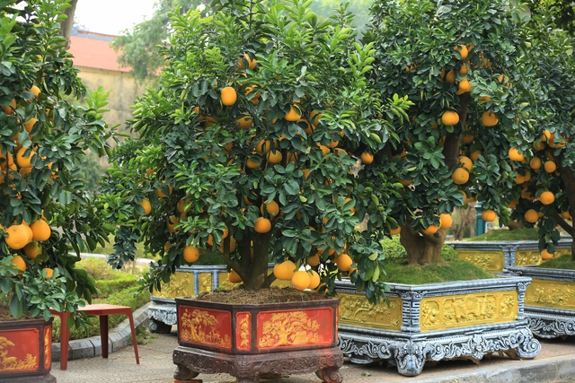 Kh&ocirc;ng kh&iacute; Tết tr&agrave;n ngập phố phường H&agrave; Nội: Ảnh hưởng của b&atilde;o nhưng 1 điều vẫn kh&ocirc;ng hề thay đổi với năm trước - Ảnh 10.