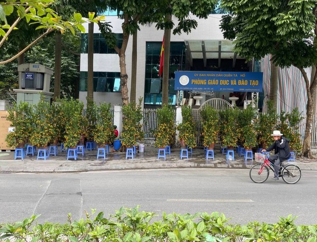 Kh&ocirc;ng kh&iacute; Tết tr&agrave;n ngập phố phường H&agrave; Nội: Ảnh hưởng của b&atilde;o nhưng 1 điều vẫn kh&ocirc;ng hề thay đổi với năm trước - Ảnh 3.