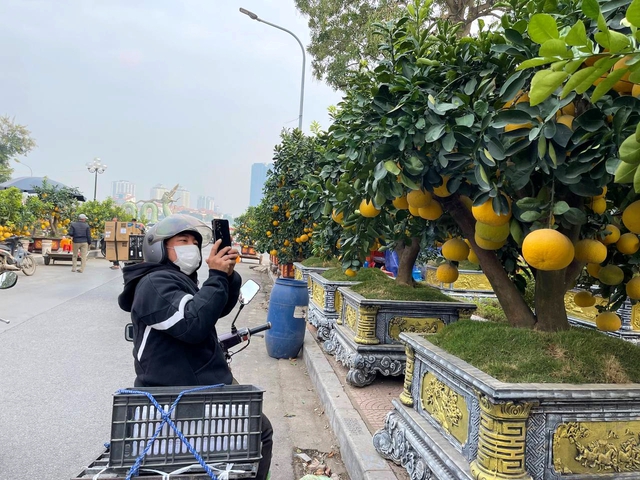 Kh&ocirc;ng kh&iacute; Tết tr&agrave;n ngập phố phường H&agrave; Nội: Ảnh hưởng của b&atilde;o nhưng 1 điều vẫn kh&ocirc;ng hề thay đổi với năm trước - Ảnh 16.