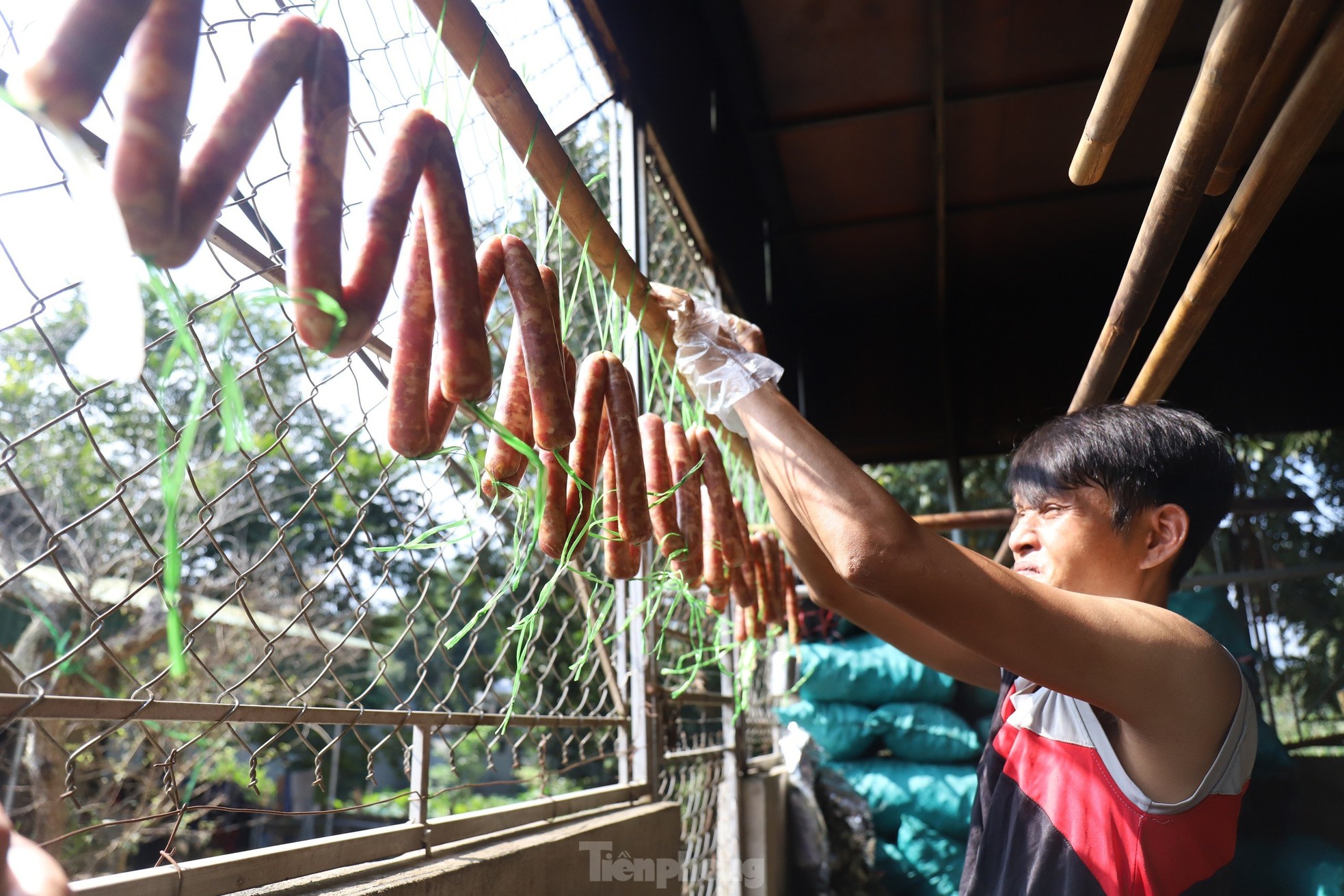 Bò giàng có gì mà trở thành đặc sản, gây sốt dịp Tết? - Ảnh 4.