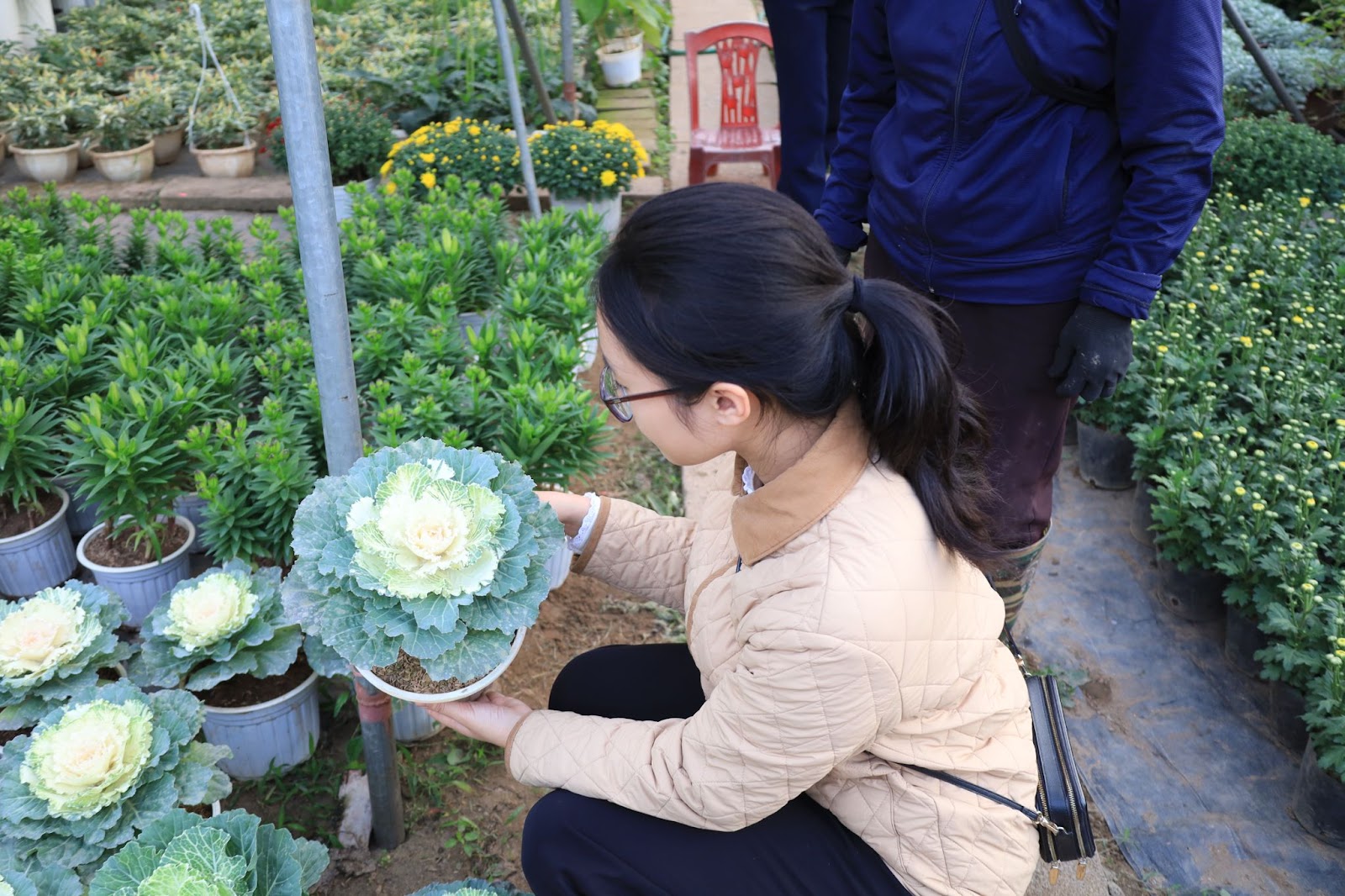 Độc lạ loại hoa vừa cắm chơi vừa có thể ăn - Ảnh 4.