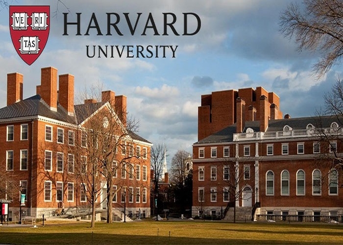 Đây là trường THPT có nhiều học sinh đỗ Đại học Harvard nhất Việt Nam, một nữ sinh trường này còn từng từ chối nhập học - Ảnh 1.