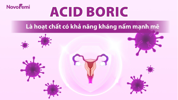 Acid boric – Hoạt chất điều trị nấm từ Hiệp hội Bệnh truyền nhiễm Hoa Kỳ - Ảnh 2.