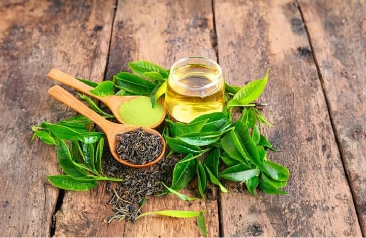 Điều g&igrave; xảy ra với cơ thể khi uống tr&agrave; xanh th&ecirc;m v&agrave;i l&aacute;t gừng mỗi ng&agrave;y? - Ảnh 1.