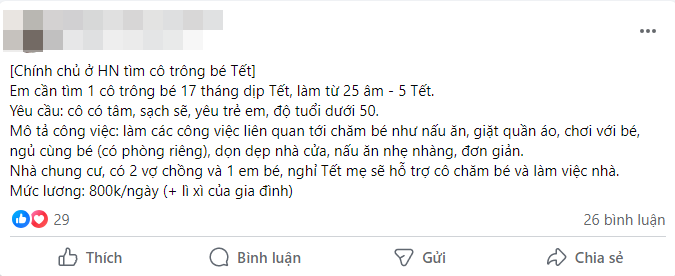 Giúp việc về quê full Tết, hội mẹ bỉm nháo nhào tìm người thay thế, chi gần 10 triệu mà vẫn lo - Ảnh 3.