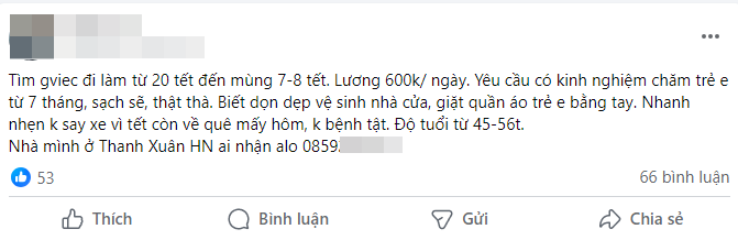 Giúp việc về quê full Tết, hội mẹ bỉm nháo nhào tìm người thay thế, chi gần 10 triệu mà vẫn lo - Ảnh 7.