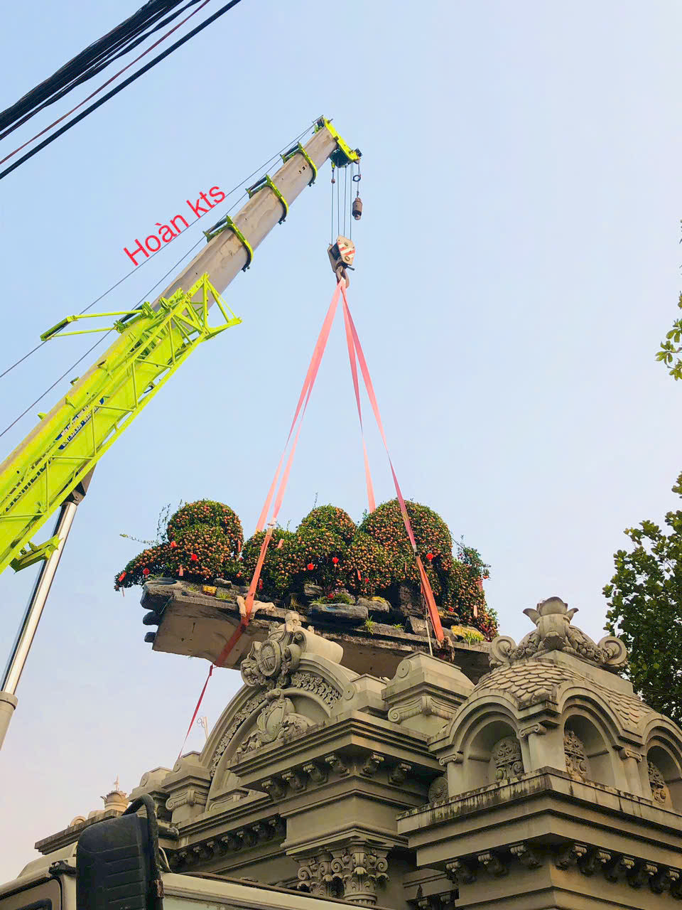 Một vị đại gia chi hơn 200 triệu mua chậu quýt chỉ để chơi Tết: Nghe chia sẻ của người thực hiện mới thấy "đáng đồng tiền" - Ảnh 5.