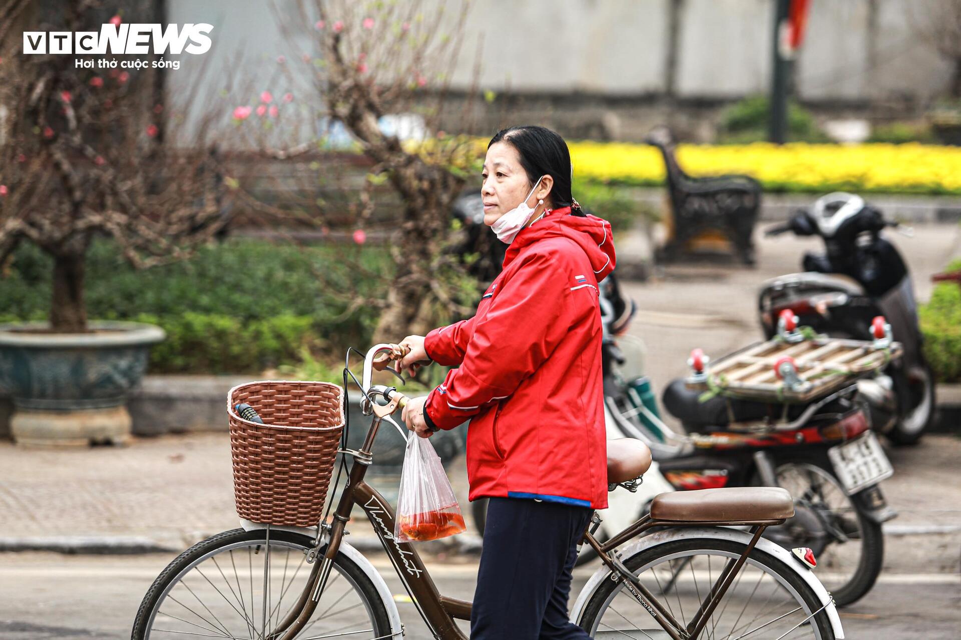 Cá chép 'đu dây' xuống sông Hồng tiễn ông Công ông Táo về trời - Ảnh 10.