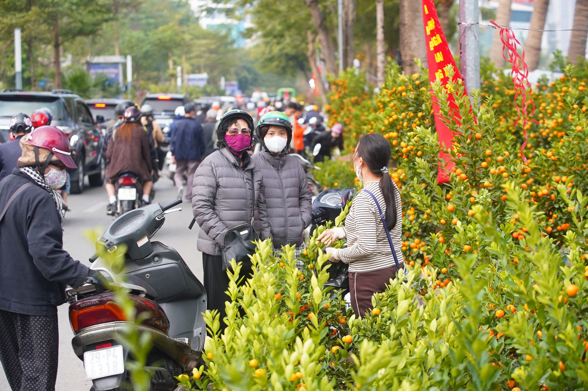 Ngày đầu kỳ nghỉ Tết Nguyên đán, người dân hồ hởi xuống phố &quot;săn&quot; đào, quất - Ảnh 16.