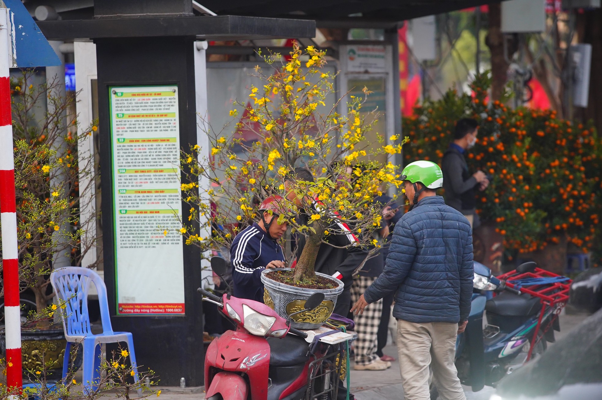 Ngày đầu kỳ nghỉ Tết Nguyên đán, người dân hồ hởi xuống phố &quot;săn&quot; đào, quất - Ảnh 18.