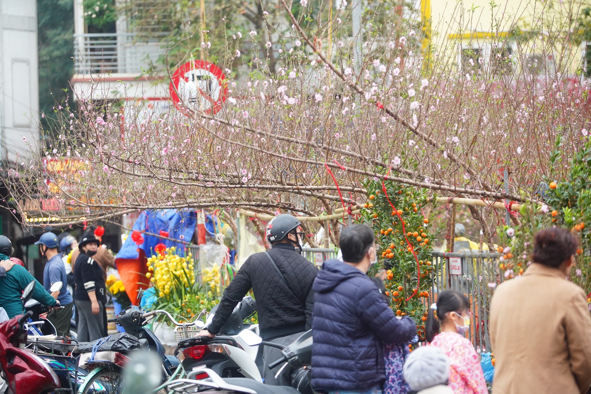 Ngày đầu kỳ nghỉ Tết Nguyên đán, người dân hồ hởi xuống phố &quot;săn&quot; đào, quất - Ảnh 24.