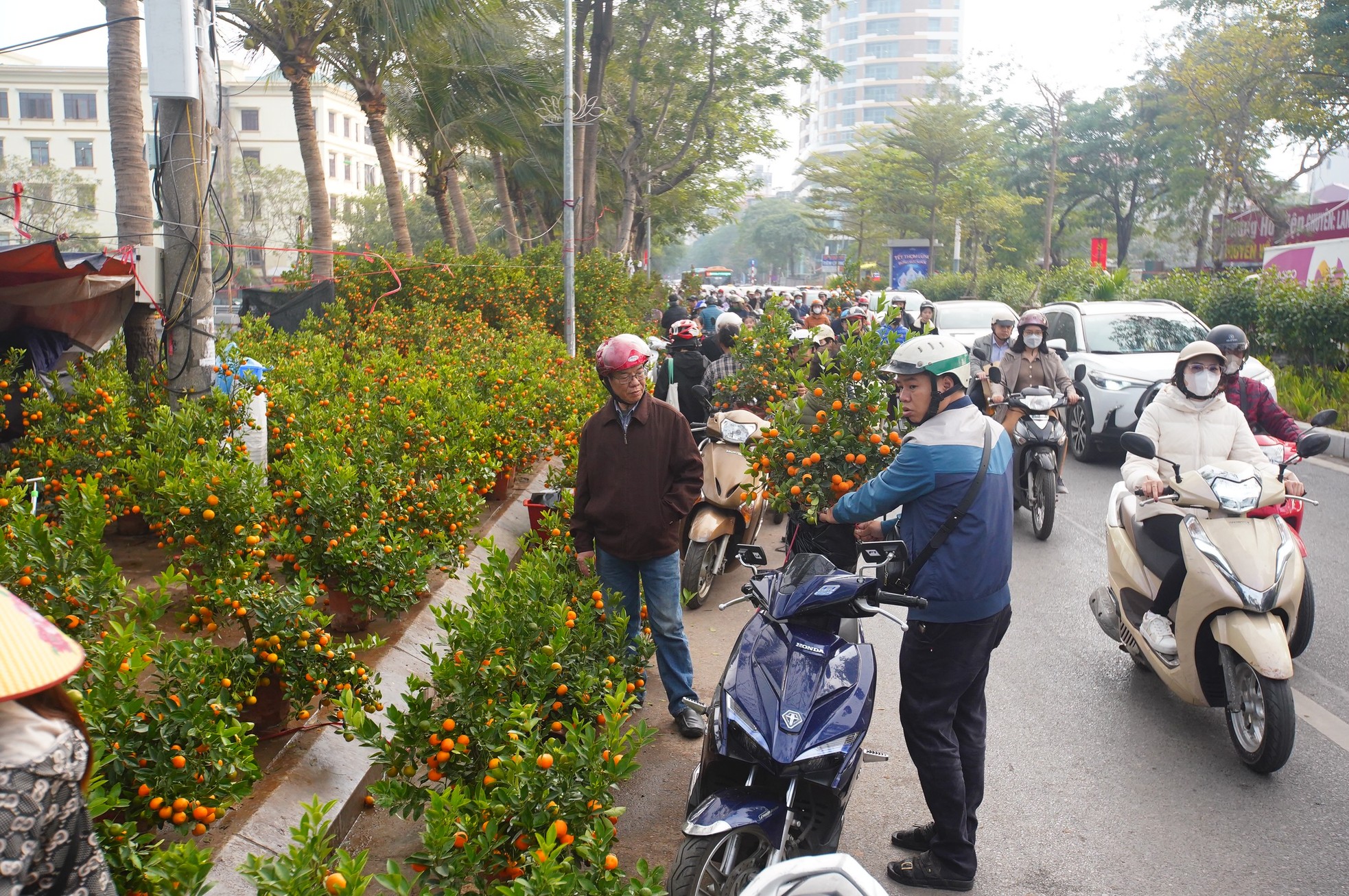 Ngày đầu kỳ nghỉ Tết Nguyên đán, người dân hồ hởi xuống phố &quot;săn&quot; đào, quất - Ảnh 15.