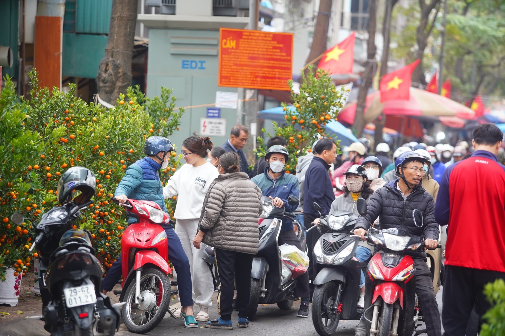 Ngày đầu kỳ nghỉ Tết Nguyên đán, người dân hồ hởi xuống phố &quot;săn&quot; đào, quất - Ảnh 21.