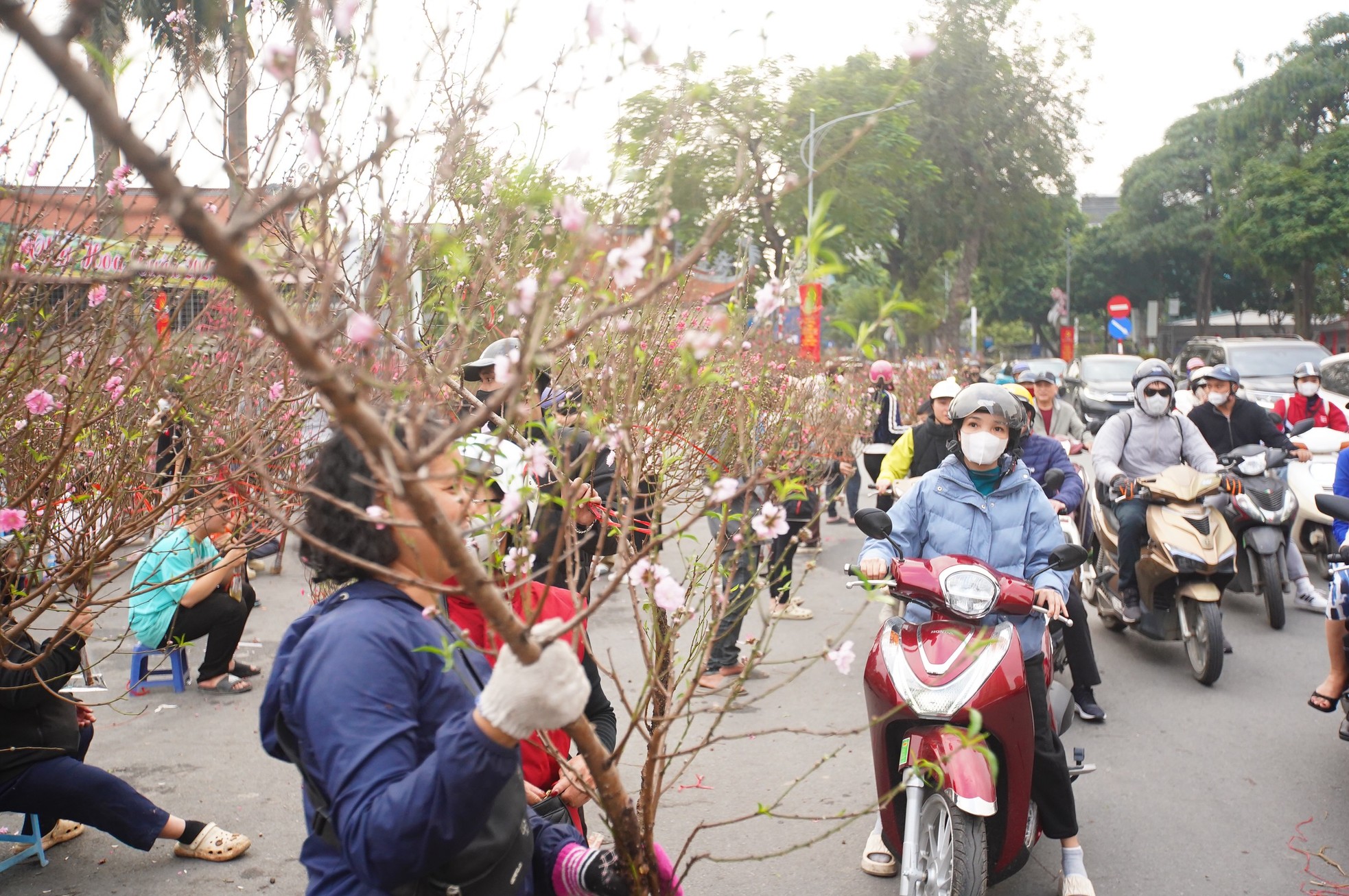 Ngày đầu kỳ nghỉ Tết Nguyên đán, người dân hồ hởi xuống phố &quot;săn&quot; đào, quất - Ảnh 10.