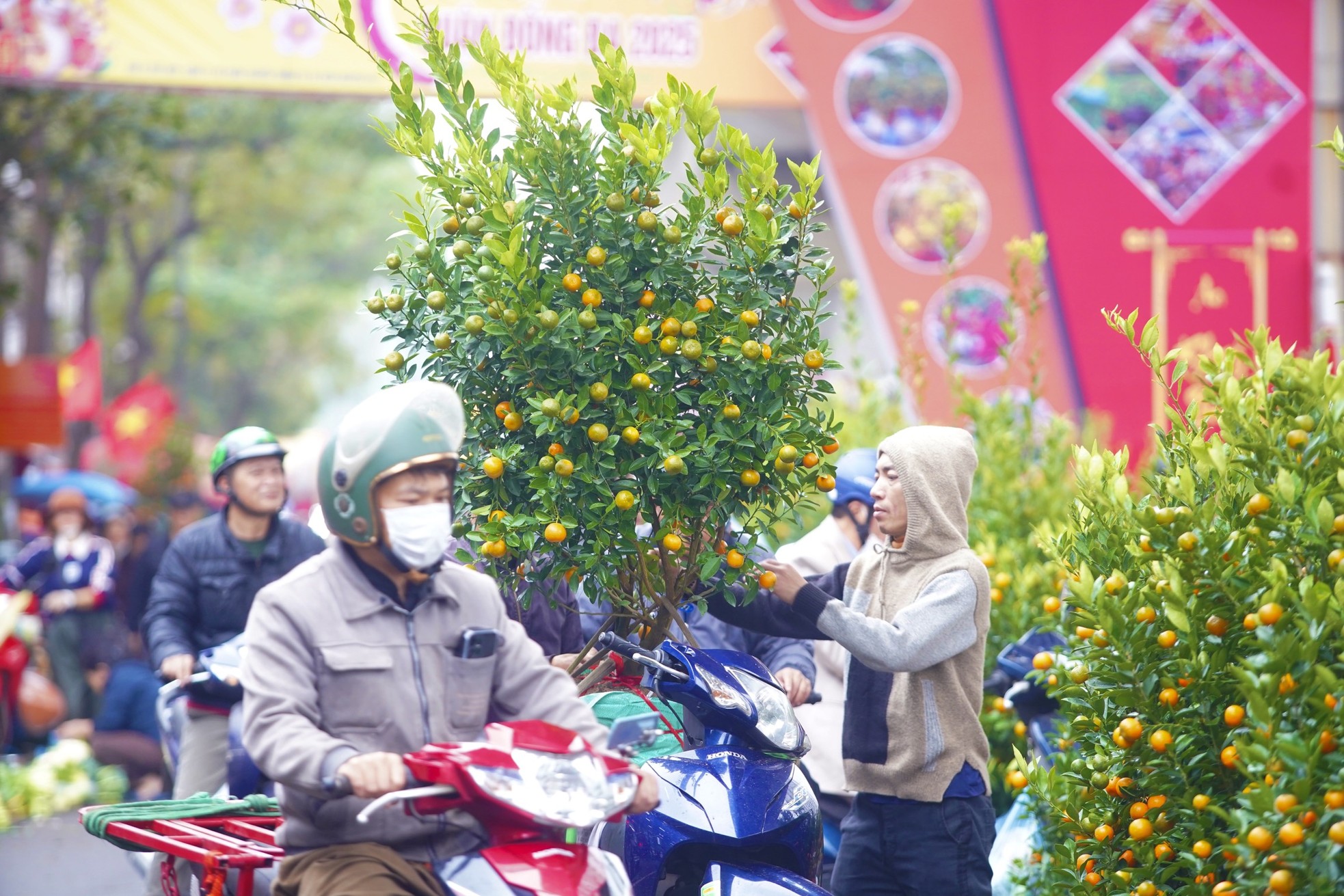 Ngày đầu kỳ nghỉ Tết Nguyên đán, người dân hồ hởi xuống phố &quot;săn&quot; đào, quất - Ảnh 23.