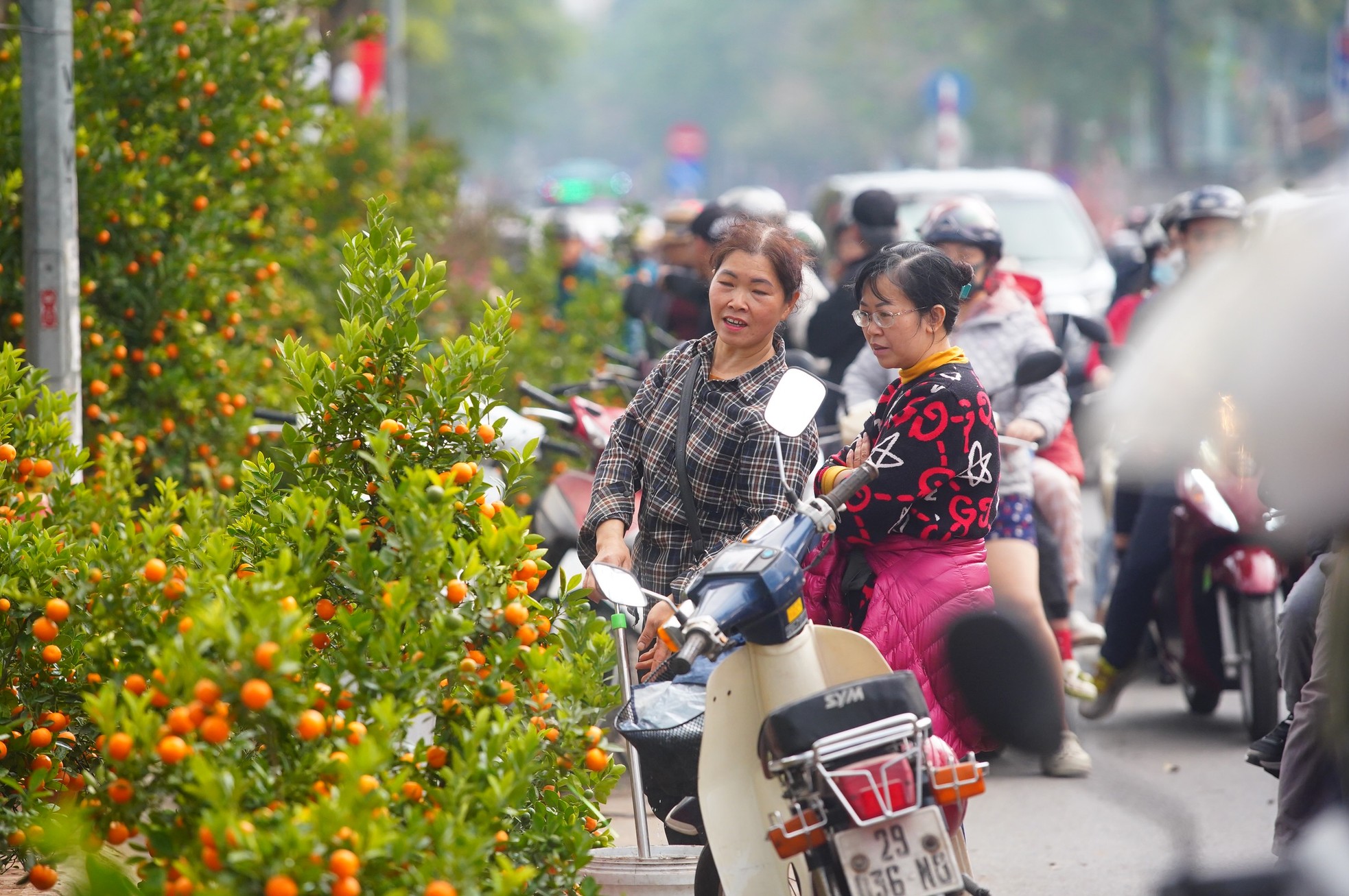 Ngày đầu kỳ nghỉ Tết Nguyên đán, người dân hồ hởi xuống phố &quot;săn&quot; đào, quất - Ảnh 17.