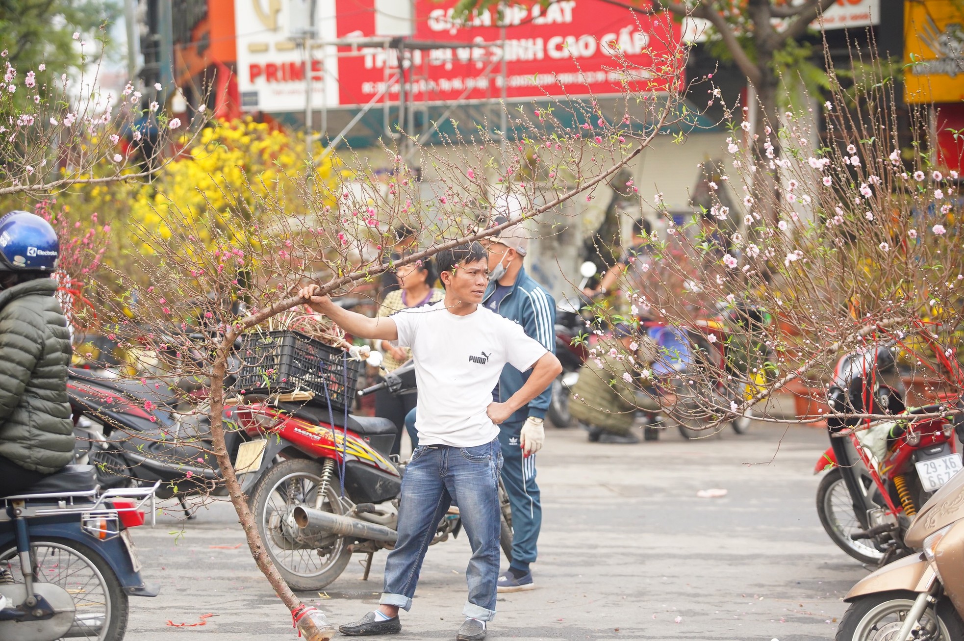 Ngày đầu kỳ nghỉ Tết Nguyên đán, người dân hồ hởi xuống phố &quot;săn&quot; đào, quất - Ảnh 5.