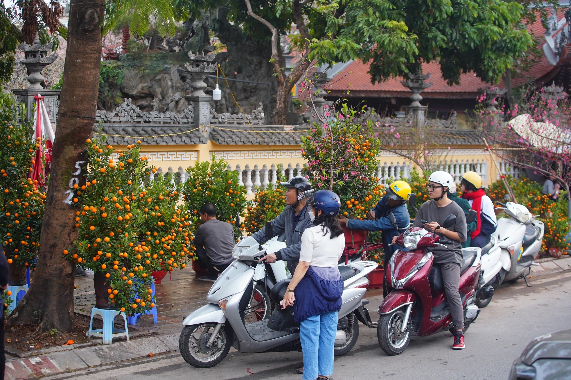 Ngày đầu kỳ nghỉ Tết Nguyên đán, người dân hồ hởi xuống phố &quot;săn&quot; đào, quất - Ảnh 13.