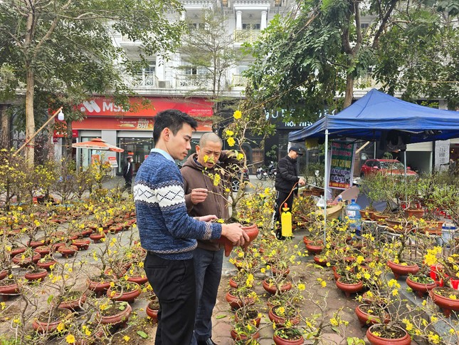 Hà Nội: Giá đào Tết tăng gấp đôi, nhiều người tạm gác thú chơi hoa - Ảnh 9.