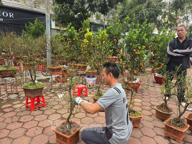 Hà Nội: Giá đào Tết tăng gấp đôi, nhiều người tạm gác thú chơi hoa - Ảnh 10.