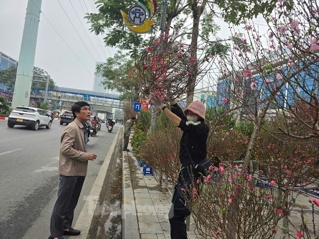 Hà Nội: Giá đào Tết tăng gấp đôi, nhiều người tạm gác thú chơi hoa - Ảnh 5.