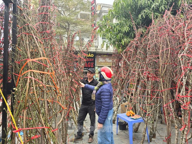 Hà Nội: Giá đào Tết tăng gấp đôi, nhiều người tạm gác thú chơi hoa - Ảnh 2.