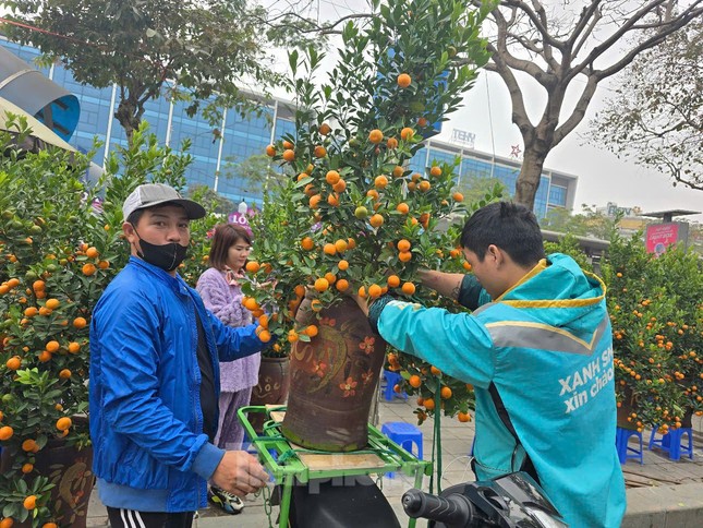 Hà Nội: Giá đào Tết tăng gấp đôi, nhiều người tạm gác thú chơi hoa - Ảnh 7.