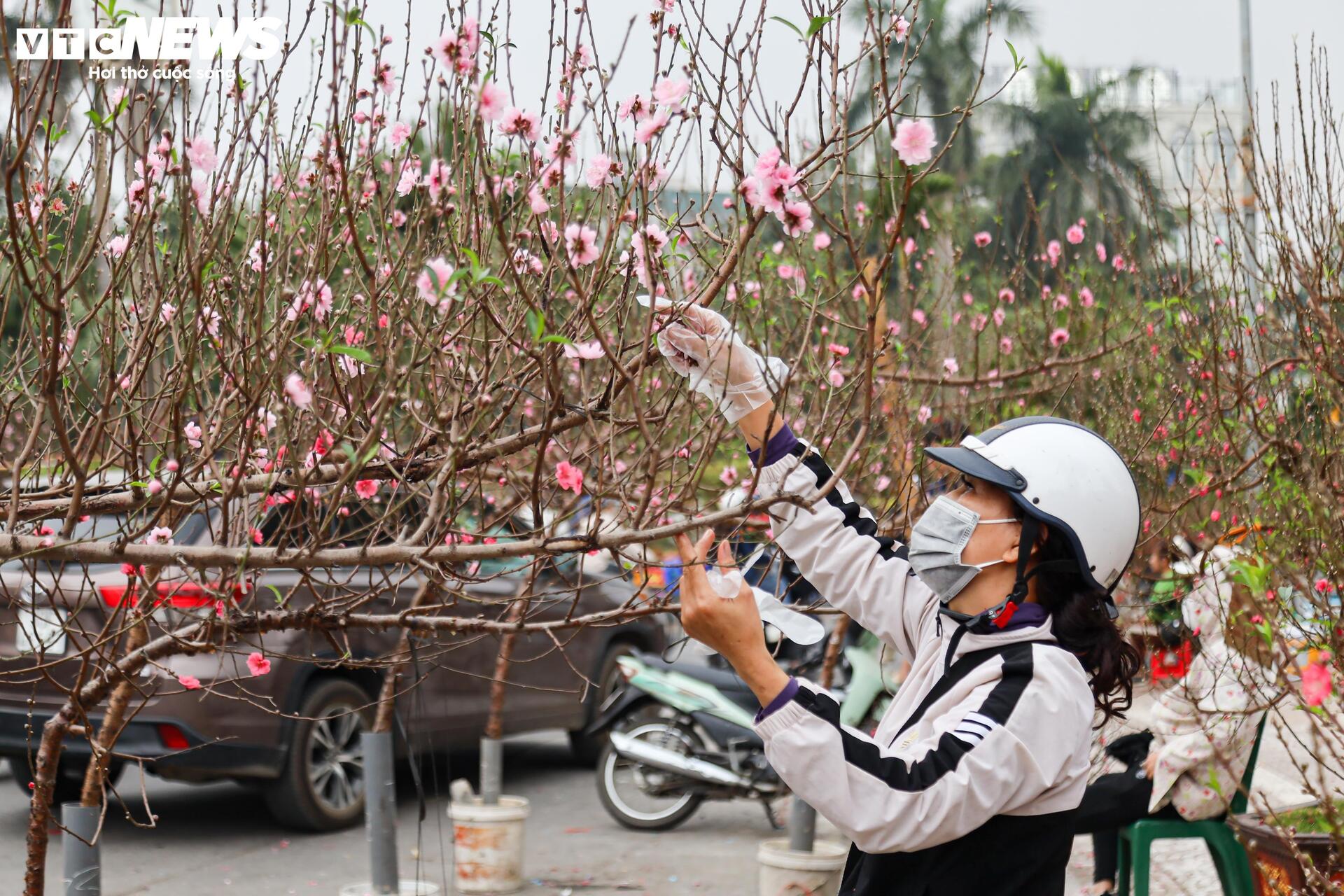 Người dân nô nức sắm Tết, sắc đào nhuộm thắm chợ hoa Hà Nội - Ảnh 16.