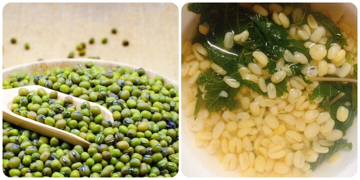C&aacute;ch nấu canh đậu xanh t&iacute;a t&ocirc; giải độc gan ng&agrave;y Tết - Ảnh 1.