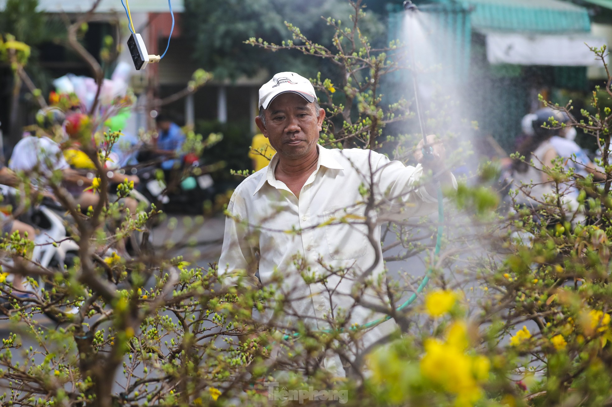 Chợ hoa bến Bình Đông giảm sâu, người dân vẫn hỏi nhiều hơn mua - Ảnh 1. Chợ hoa bến Bình Đông giảm sâu, người dân vẫn hỏi nhiều hơn mua - Ảnh 1.