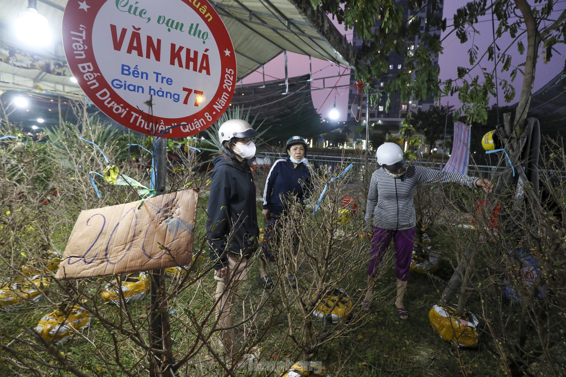 Chợ hoa bến Bình Đông giảm sâu, người dân vẫn hỏi nhiều hơn mua - Ảnh 2. Chợ hoa bến Bình Đông giảm sâu, người dân vẫn hỏi nhiều hơn mua - Ảnh 2.