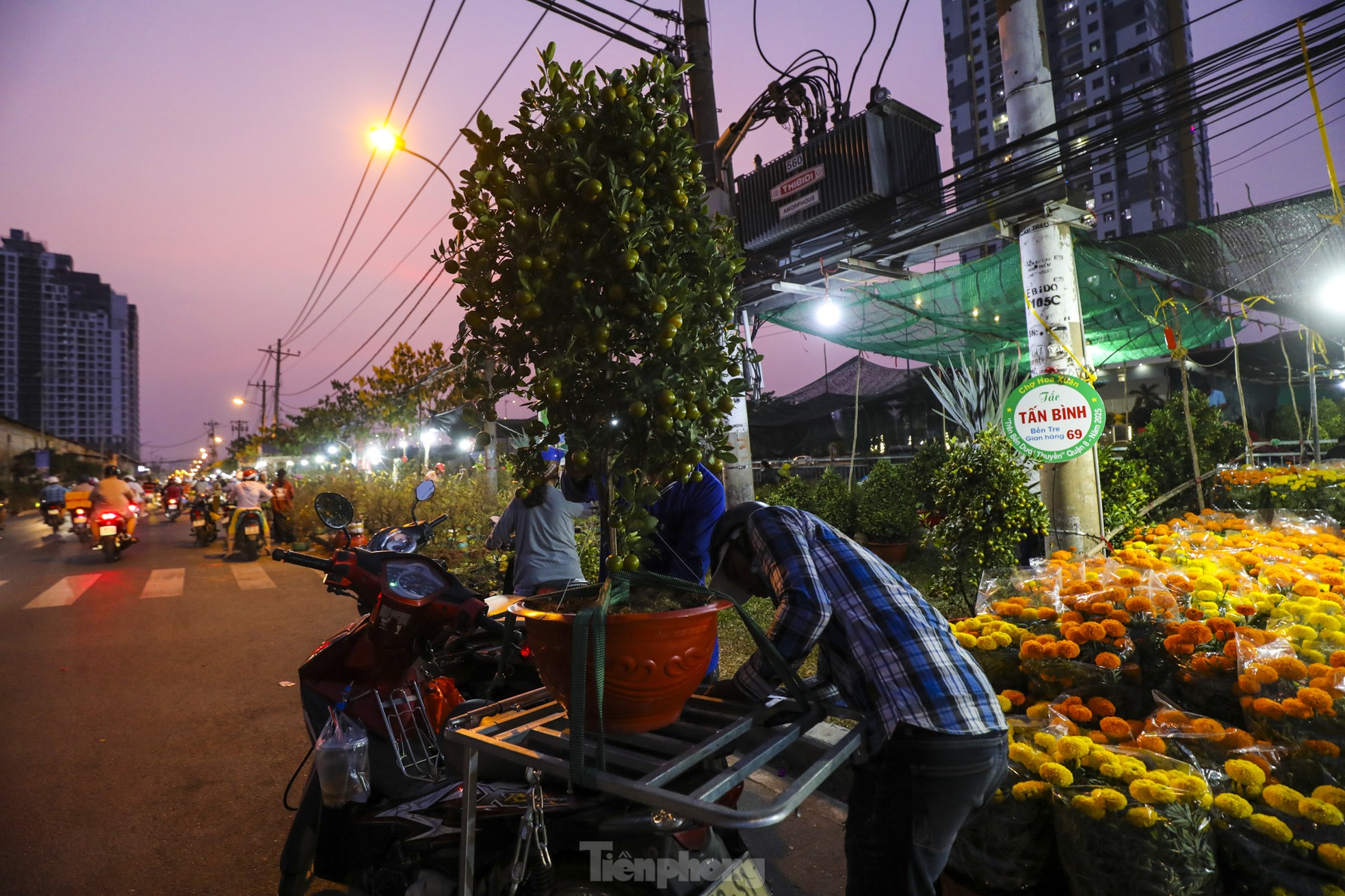 Chợ hoa bến Bình Đông giảm sâu, người dân vẫn hỏi nhiều hơn mua - Ảnh 8. Chợ hoa bến Bình Đông giảm sâu, người dân vẫn hỏi nhiều hơn mua - Ảnh 8.
