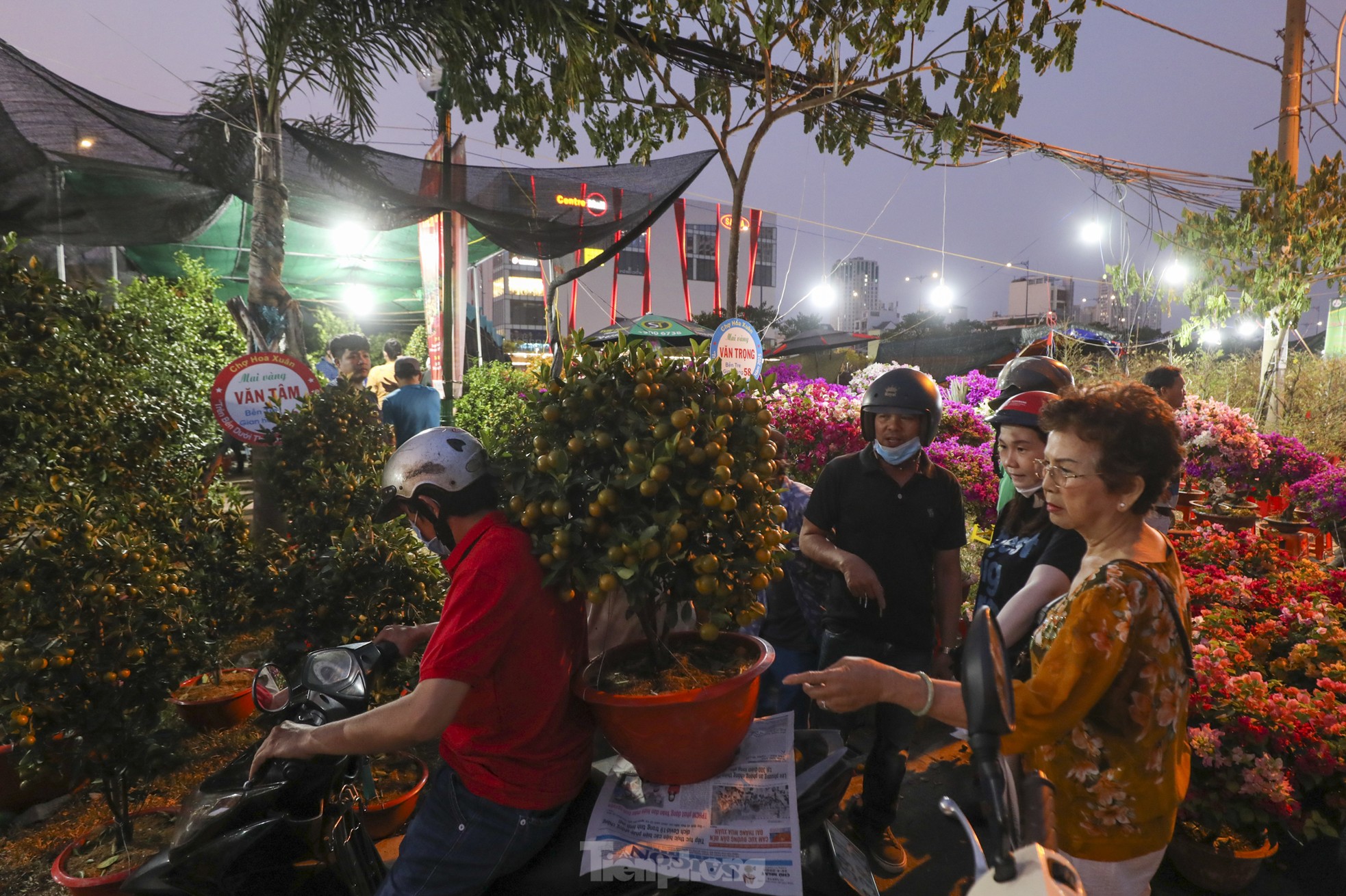 Chợ hoa bến Bình Đông giảm sâu, người dân vẫn hỏi nhiều hơn mua - Ảnh 7. Chợ hoa bến Bình Đông giảm sâu, người dân vẫn hỏi nhiều hơn mua - Ảnh 7.