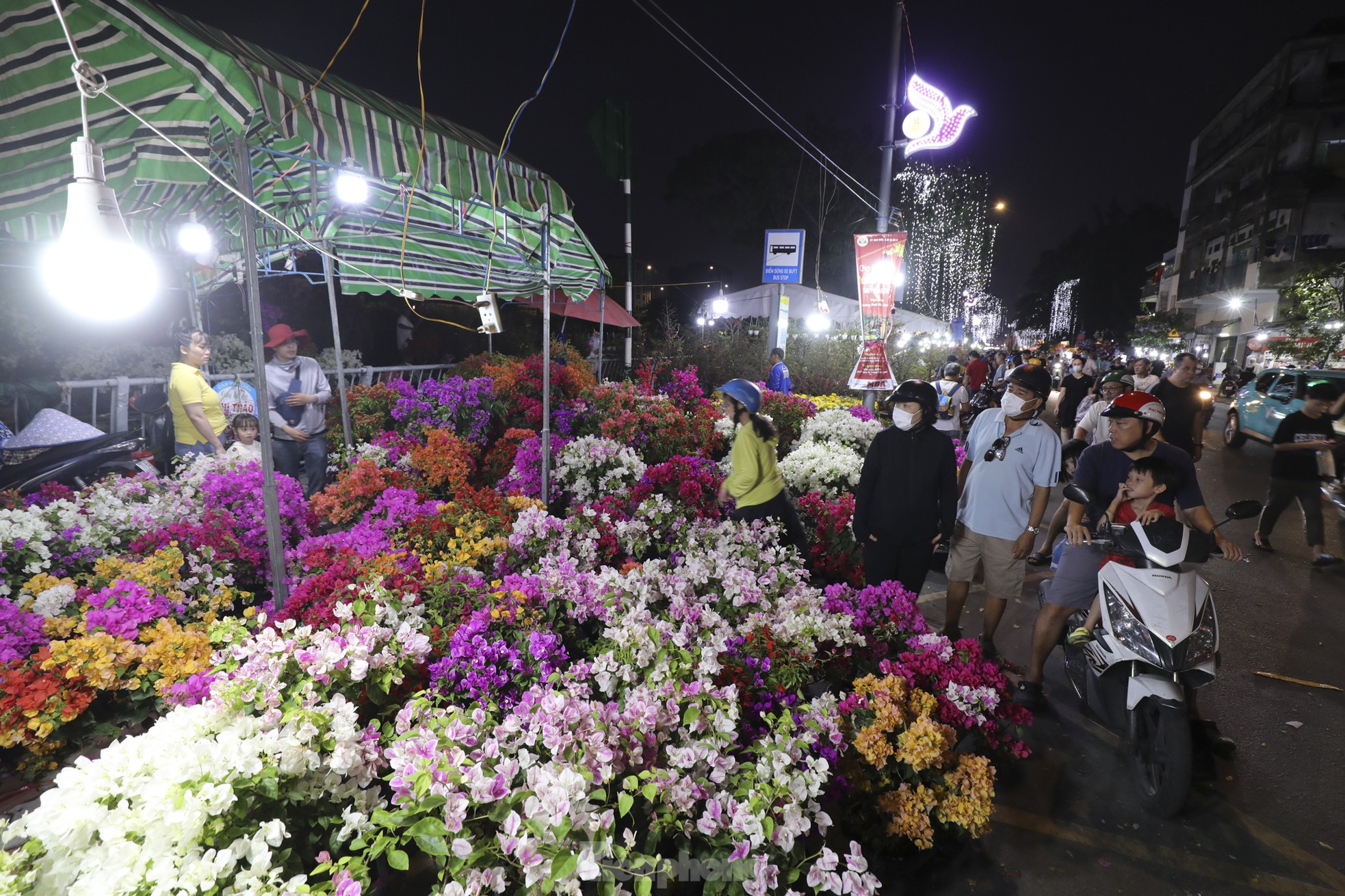 Chợ hoa bến Bình Đông giảm sâu, người dân vẫn hỏi nhiều hơn mua - Ảnh 9. Chợ hoa bến Bình Đông giảm sâu, người dân vẫn hỏi nhiều hơn mua - Ảnh 9.