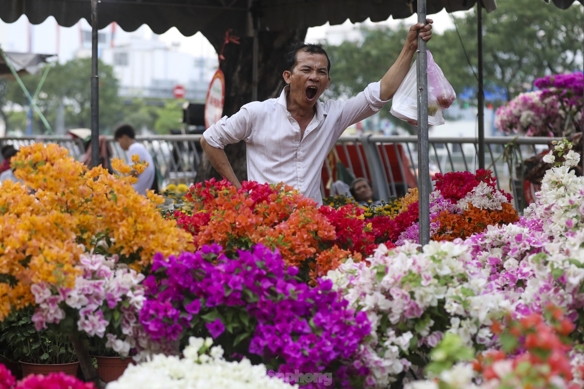 Chợ hoa bến Bình Đông giảm sâu, người dân vẫn hỏi nhiều hơn mua - Ảnh 12. Chợ hoa bến Bình Đông giảm sâu, người dân vẫn hỏi nhiều hơn mua - Ảnh 12.