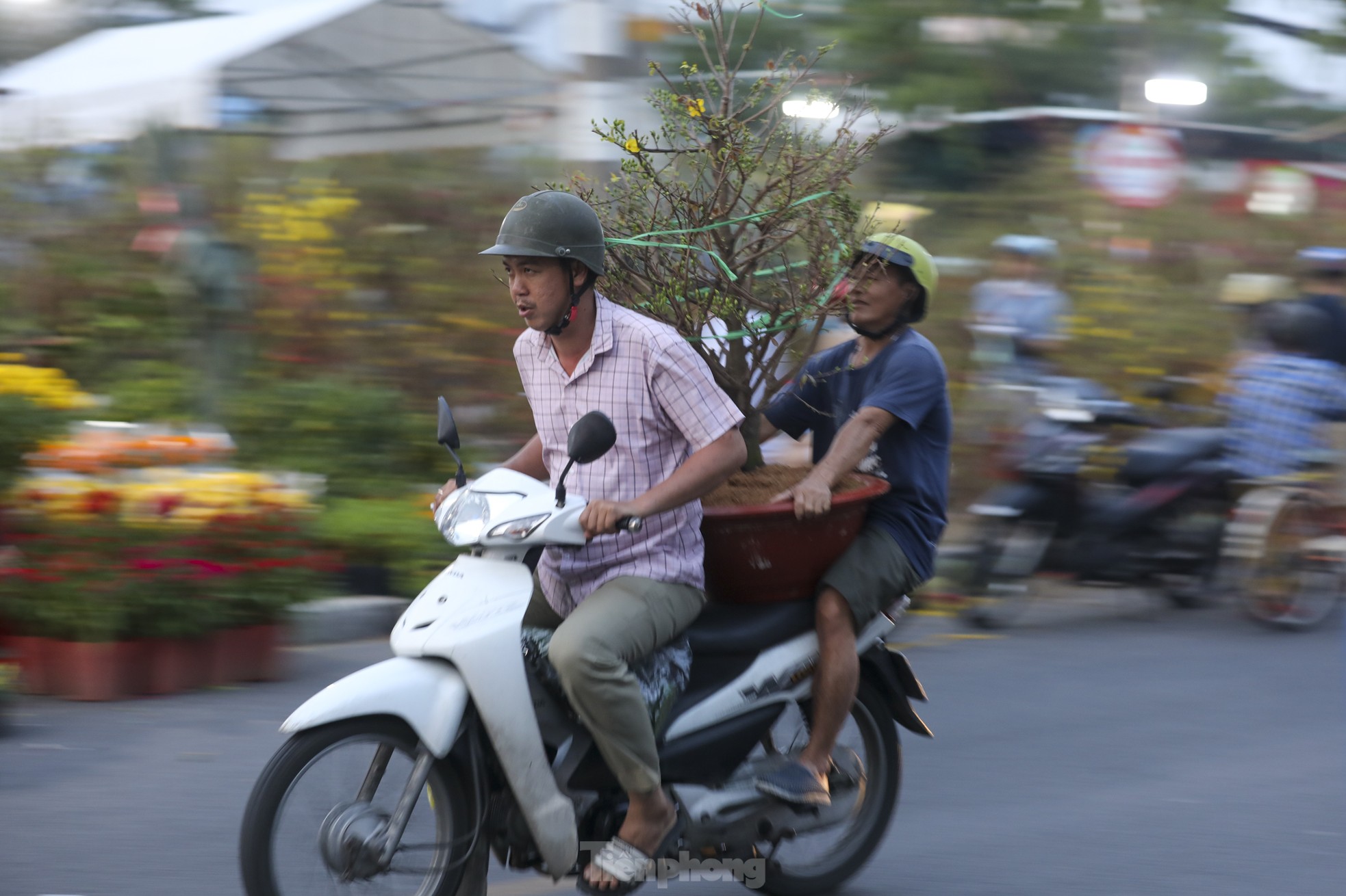 Chợ hoa bến Bình Đông giảm sâu, người dân vẫn hỏi nhiều hơn mua - Ảnh 5. Chợ hoa bến Bình Đông giảm sâu, người dân vẫn hỏi nhiều hơn mua - Ảnh 5.