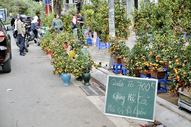 Tiểu thương &quot;chạy hàng&quot; trước thềm giao thừa, cây cảnh giá rẻ phủ khắp Hà Nội chiều 29 Tết - Ảnh 15.