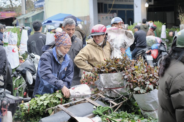 Tiểu thương &quot;chạy hàng&quot; trước thềm giao thừa, cây cảnh giá rẻ phủ khắp Hà Nội chiều 29 Tết - Ảnh 8.