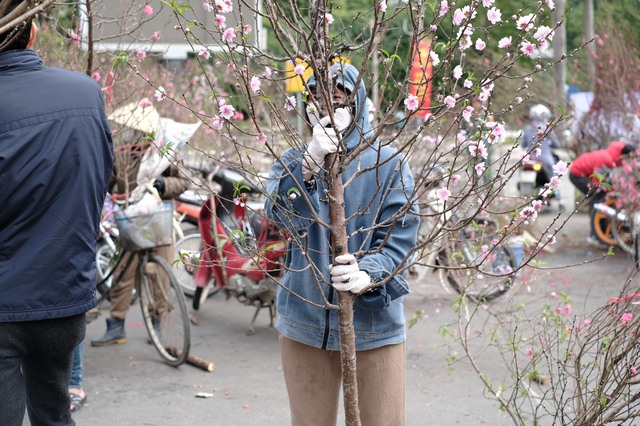 Tiểu thương &quot;chạy hàng&quot; trước thềm giao thừa, cây cảnh giá rẻ phủ khắp Hà Nội chiều 29 Tết - Ảnh 23.