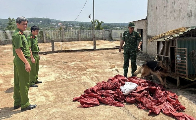 Bí mật kinh hoàng trong đống cà phê khô của vợ chồng &quot;ông trùm&quot; Trịnh Minh Sản - Ảnh 1.