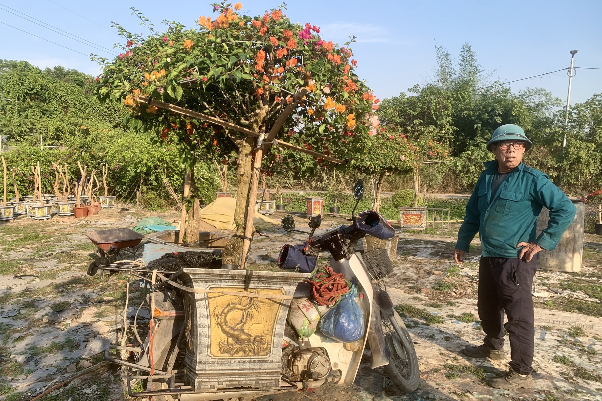 'Thủ phủ' hoa giấy miền Bắc rực rỡ khoe sắc, nhộn nhịp đón Tết - Ảnh 4.