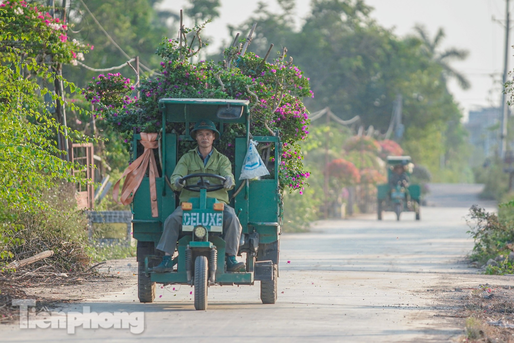 'Thủ phủ' hoa giấy miền Bắc rực rỡ khoe sắc, nhộn nhịp đón Tết - Ảnh 16.