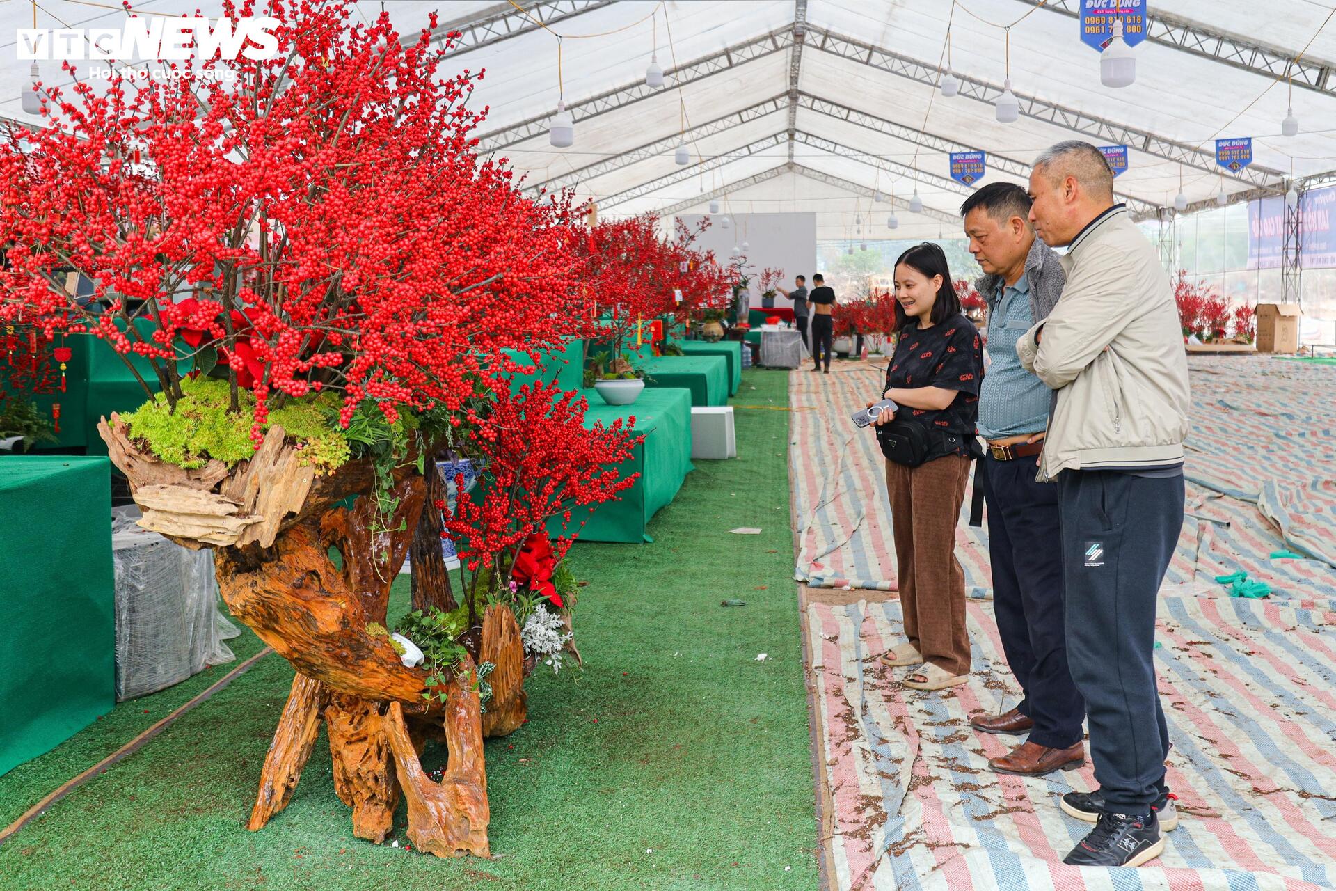 Hoa nhập độc lạ giá trăm triệu đồng, thú chơi Tết mới của nhà giàu Hà Nội - Ảnh 22.