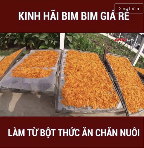 Sản xuất bim bim bẩn, chuột chết nằm chỏng chơ, nguyên liệu là thức ăn chăn nuôi: Cảnh báo từ chuyên gia- Ảnh 5.