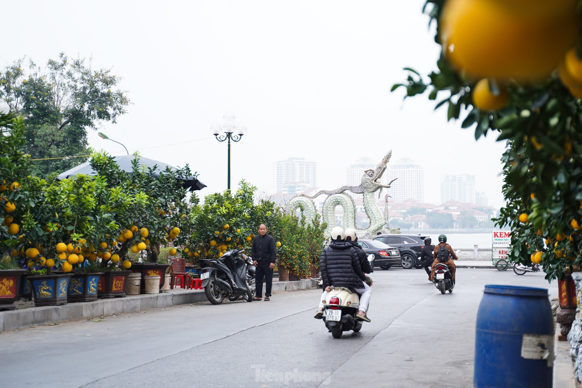 Quất đào giá trăm triệu hút &quot;giới nhà giàu&quot; - Ảnh 2.