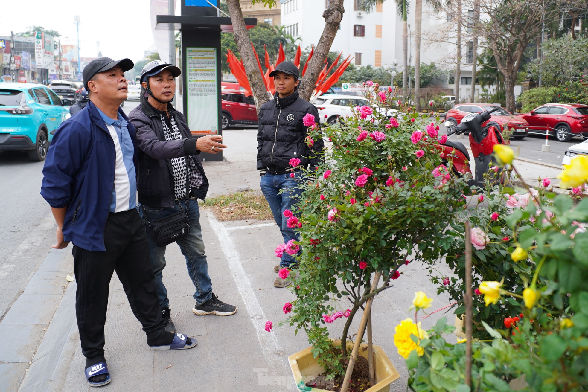 Quất đào giá trăm triệu hút &quot;giới nhà giàu&quot; - Ảnh 17.