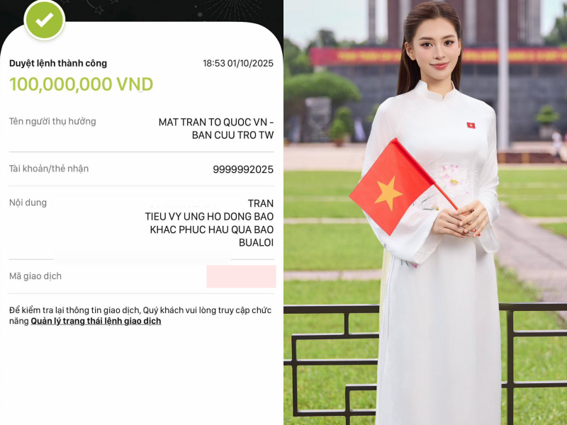 Trường Giang, Mỹ Tâm, vợ chồng Trấn Thành và dàn sao chung tay quyên góp khắc phục hậu quả bão lũ - Ảnh 11.