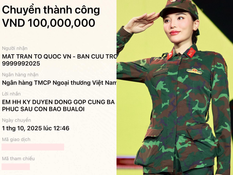 Trường Giang, Mỹ Tâm, vợ chồng Trấn Thành và dàn sao chung tay quyên góp khắc phục hậu quả bão lũ - Ảnh 6.