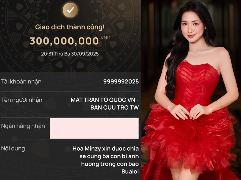 Trường Giang, Mỹ Tâm, vợ chồng Trấn Thành và dàn sao chung tay quyên góp khắc phục hậu quả bão lũ - Ảnh 4.