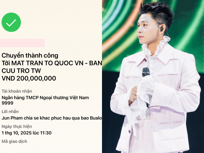 Trường Giang, Mỹ Tâm, vợ chồng Trấn Thành và dàn sao chung tay quyên góp khắc phục hậu quả bão lũ - Ảnh 7.